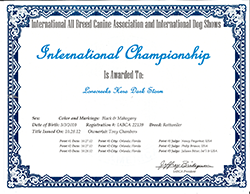 Hera International Championship Certificate
